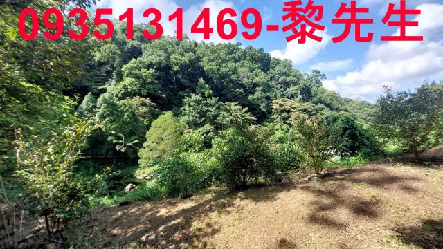 三灣農地-6