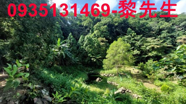 三灣農地-7