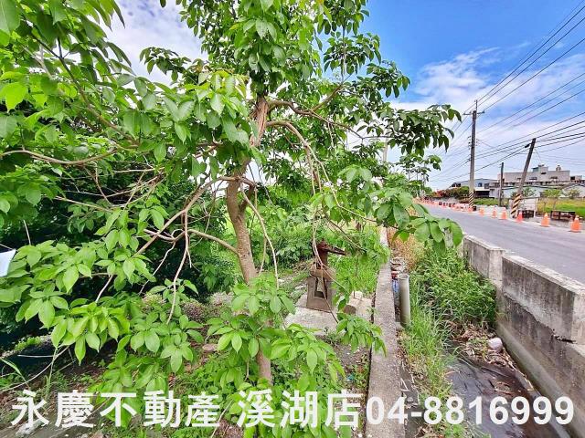 彰化溪湖埔鹽埤頭二林秀水福興建地工業用地田地農地店面透天別墅
