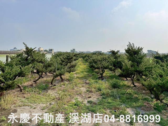 二林農地-5