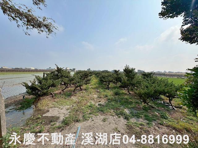 二林農地-6