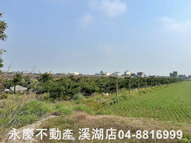 二林農地-8