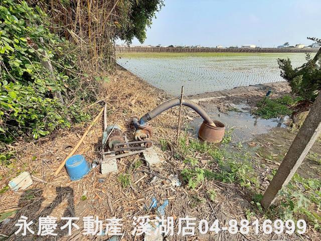 二林農地-11