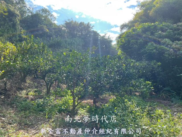 東山農地-0