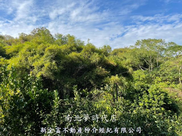 東山農地-7