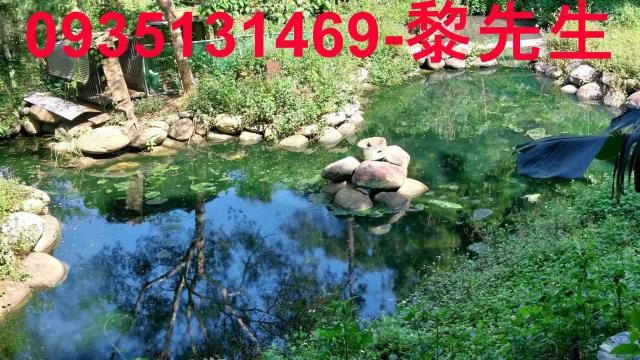 苗栗農地-9