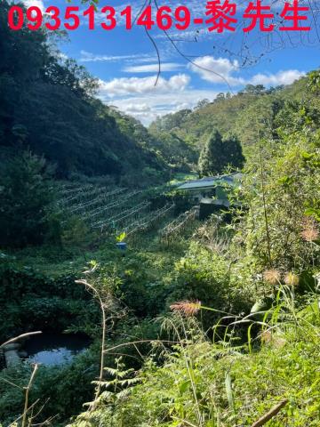 苗栗農地-12