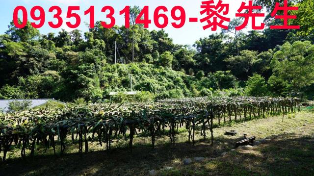 苗栗農地-2
