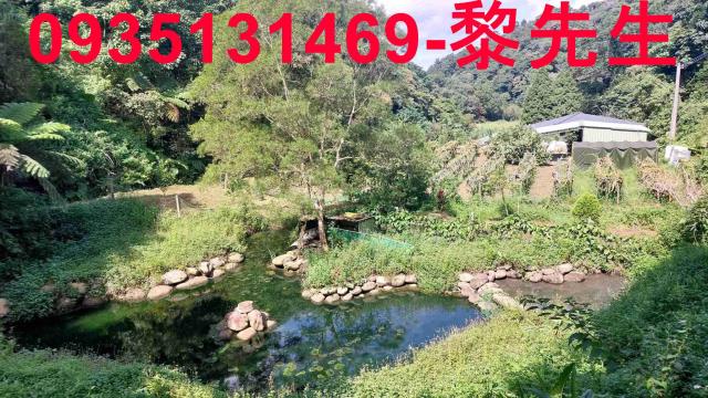 苗栗農地-14