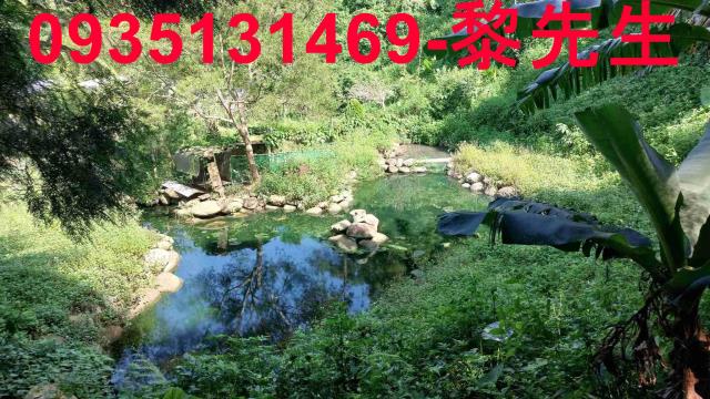 苗栗農地-6
