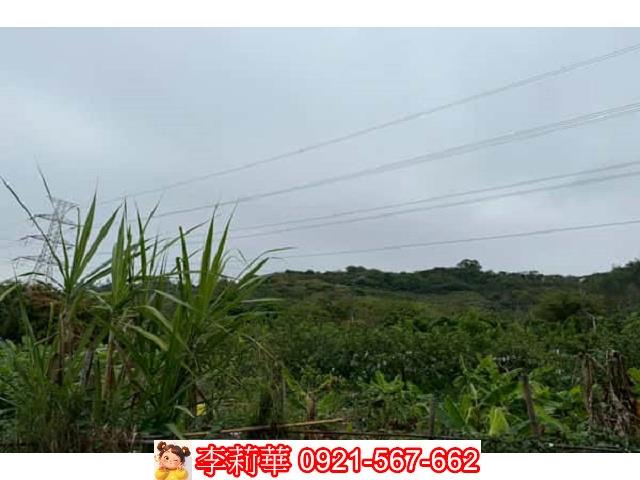 台南農地-10