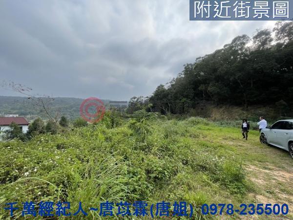 新竹林地-0