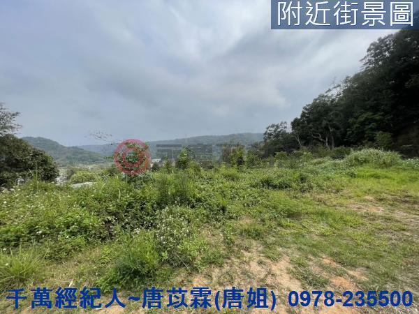 新竹林地-3