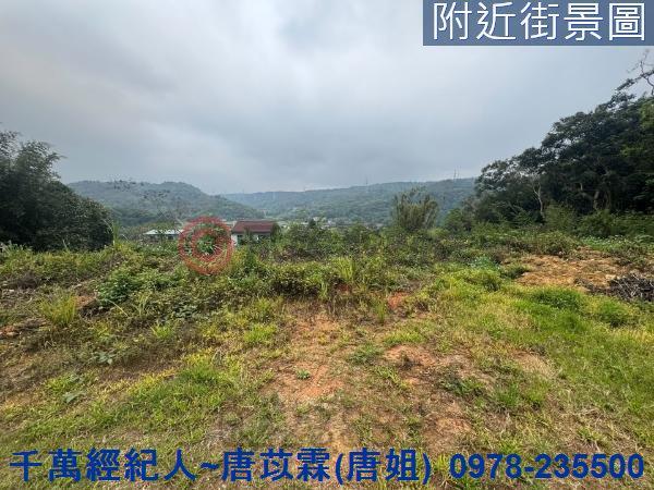 新竹林地-4