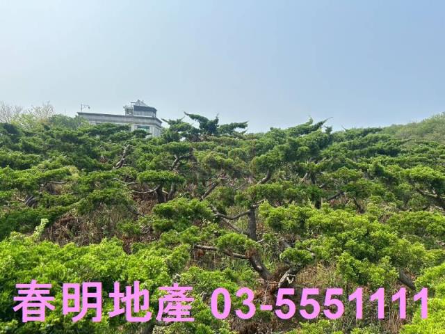 峨眉視野美農地