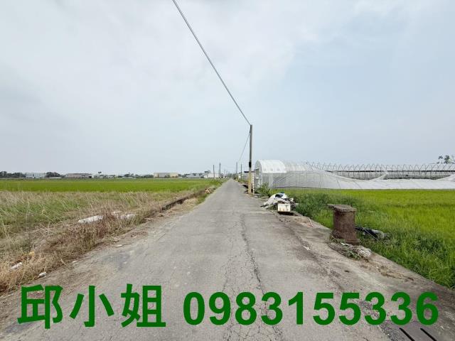 水上農地-1