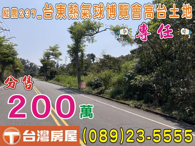 台東土地買賣