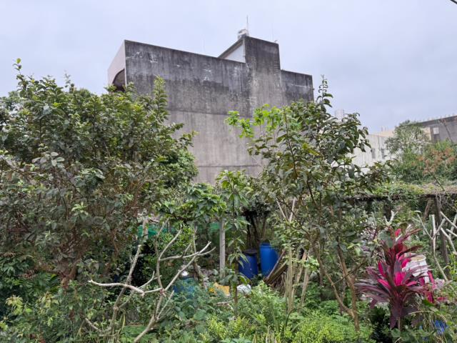 中壢農地-3