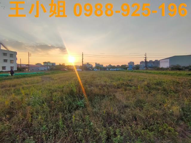 桃園農地-1