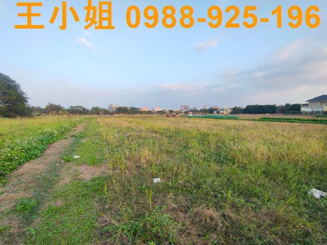 桃園農地-2