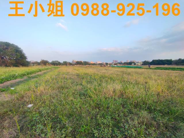 桃園農地-3