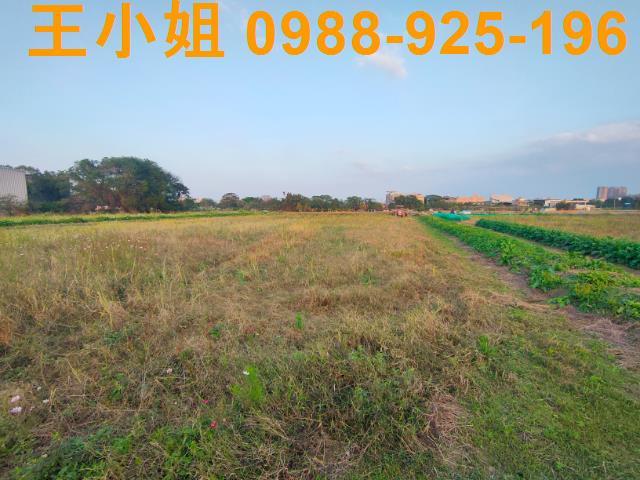 桃園農地-4