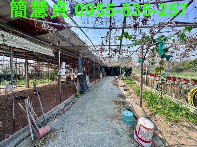 南投農地-4