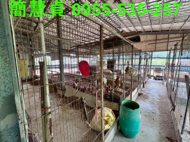 南投農地-5