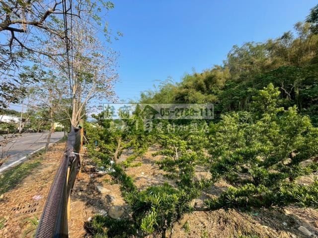 嘉義買房賣房房地合一稅建地農地