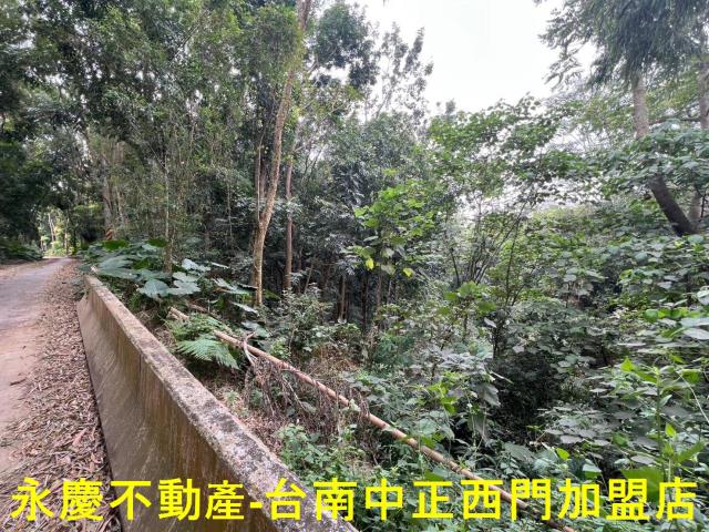 白河農地-9