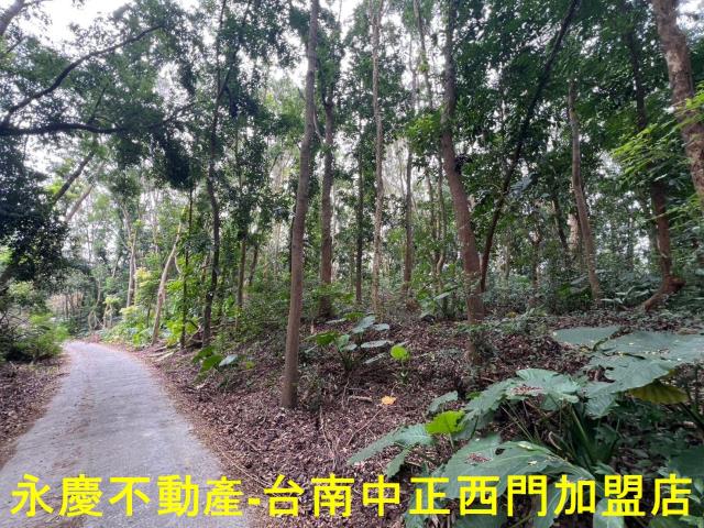 白河農地-11