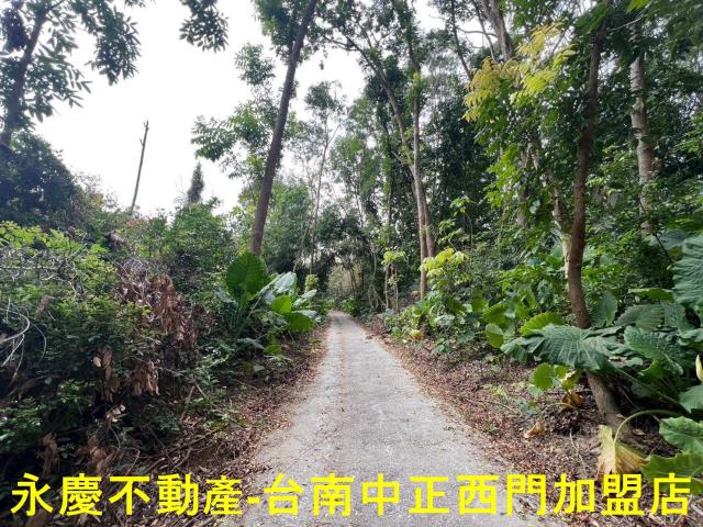 白河農地-12