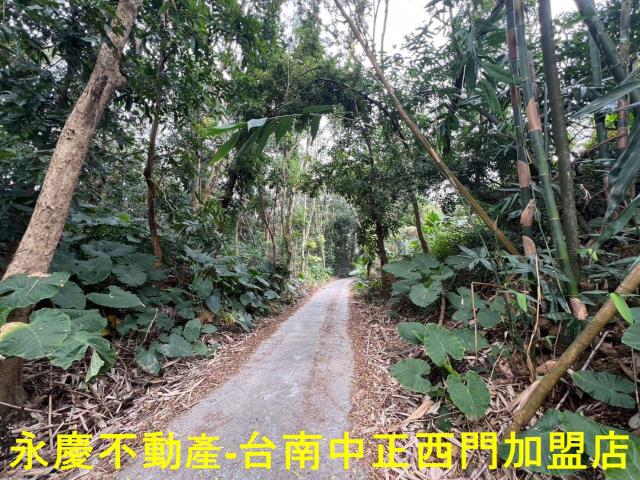 白河農地-13