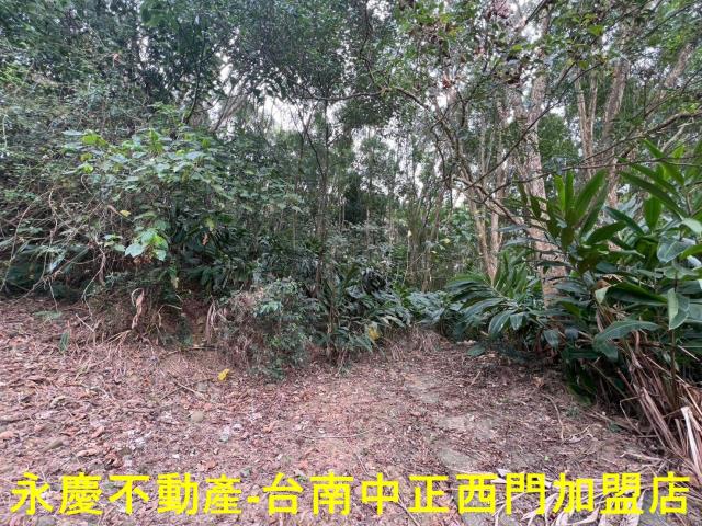 白河農地-2