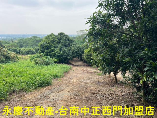 白河農地-3