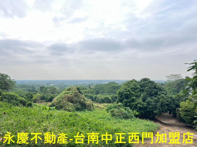 白河農地-4