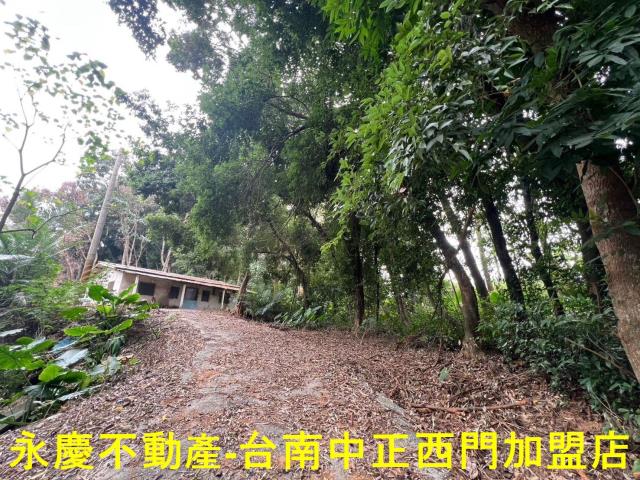 白河農地-7