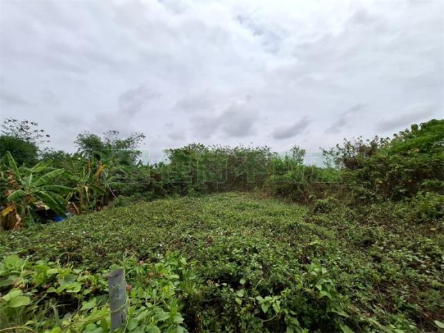 高雄農地-0