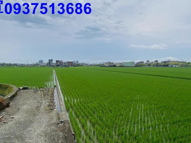 宜蘭市農地-6
