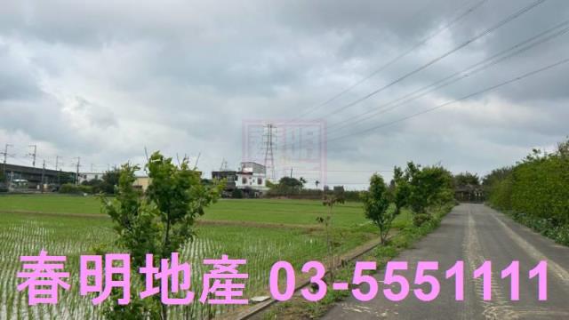 楊梅農地-1