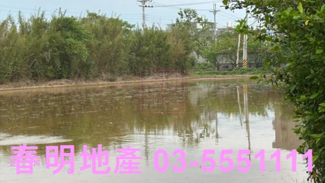 楊梅農地-4