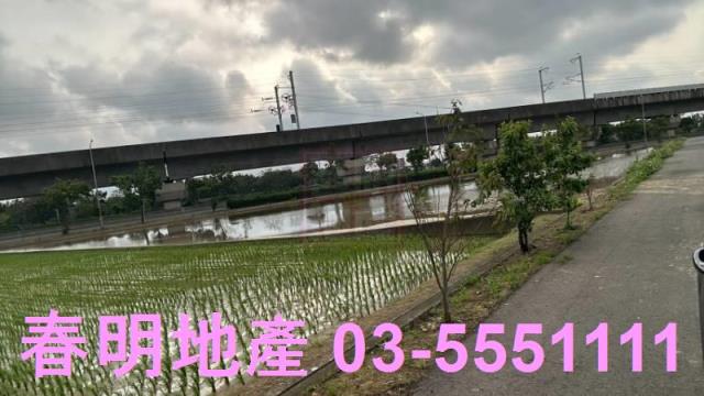 楊梅農地-5