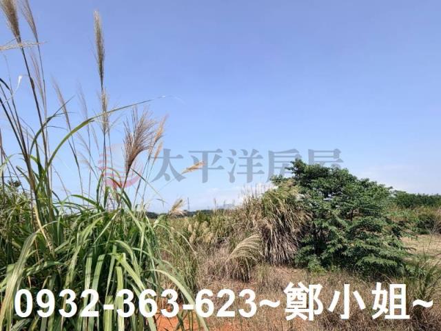 林口工業地-4
