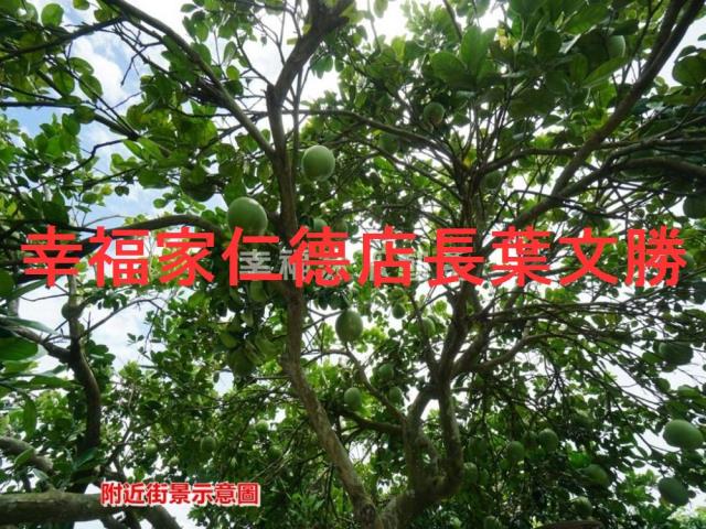 後壁農地-4