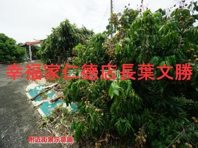 後壁農地-5