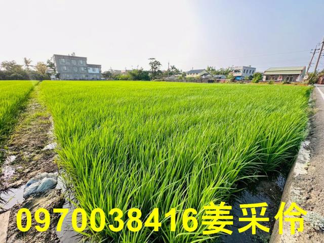 太保建地-6