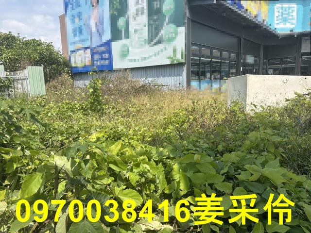 嘉義建地-2
