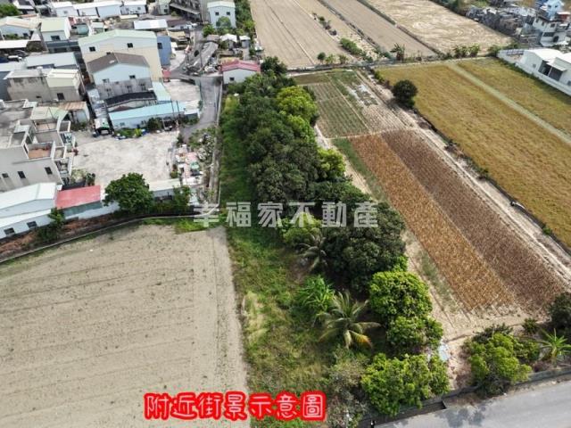台南農地-9
