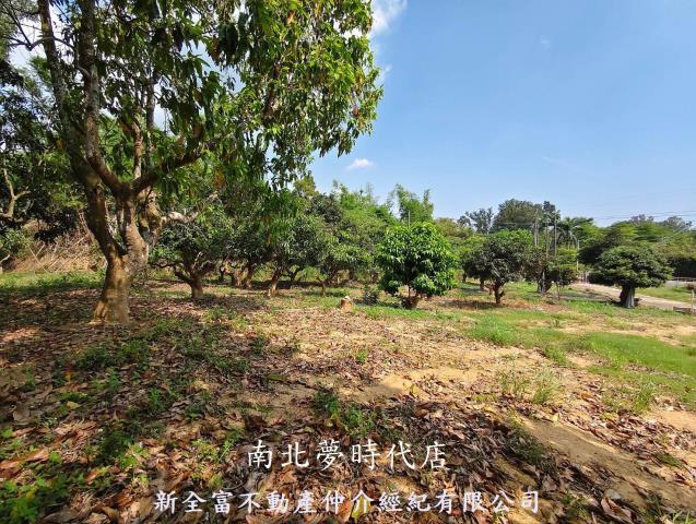 台南農地-8