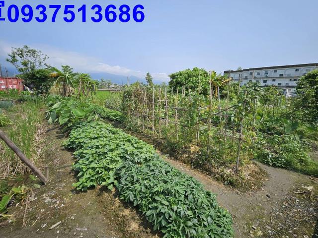 宜蘭農地-2